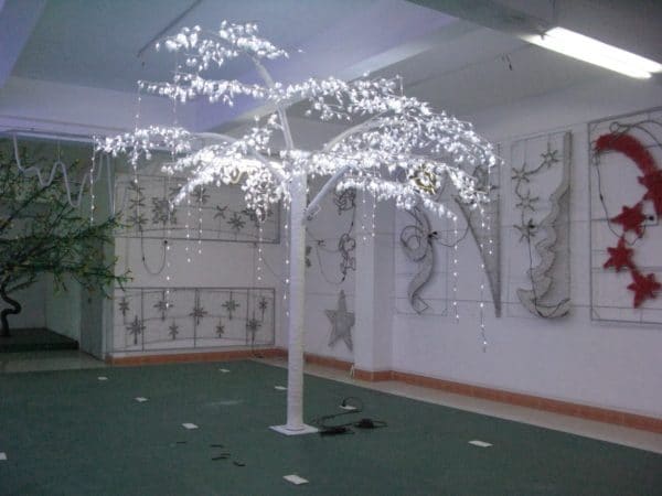Arbres lumineux