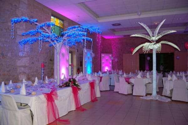 Arbres lumineux – Image 2